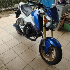 【再掲載】ホンダグロム（JC61前期）フルカウル仕様の画像