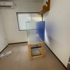 水槽 金魚 アロワナ 熱帯魚
の画像
