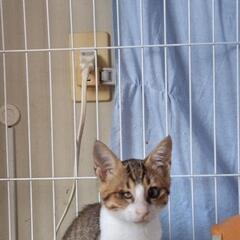 空き家に産まれて人を信じて − 大阪府