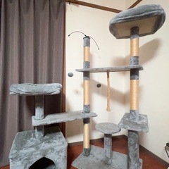 キャットタワーの画像