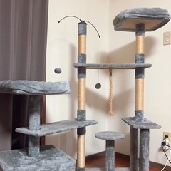 キャットタワーの画像