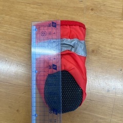 ドックシューズの画像
