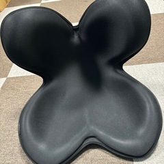 ☆お譲り先決定しました！  MTG 骨盤サポートチェア Body...