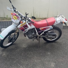 希少車🛵　ホンダディグリー250🛵