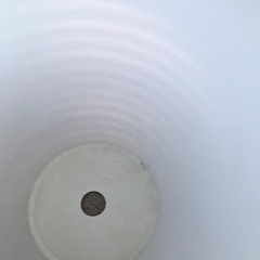 【J】（白・プラスチック・斜め）胡蝶蘭が入っていた鉢の画像