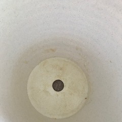 【J】（白・プラスチック・斜め）胡蝶蘭が入っていた鉢の画像
