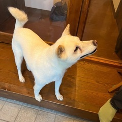 保護しています