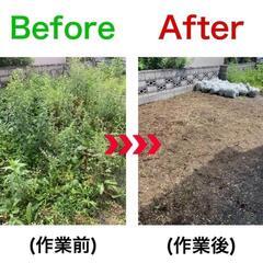 庭木の剪定　草むしり − 北海道