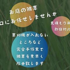 庭木の剪定　草むしり - 札幌市