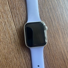 （美品）Apple Watch SE 第一世代44cm の画像