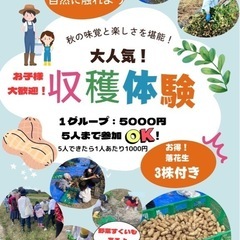 落花生の収穫体験🥜9月から10月