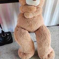 クマのヌイグルミ