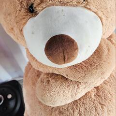 クマのヌイグルミの画像