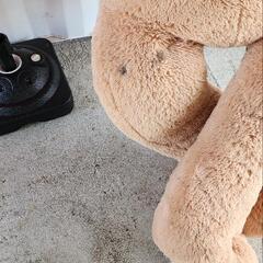 クマのヌイグルミの画像