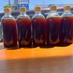 乳酸菌善玉菌パワー メダカ 金魚に