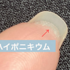 認定講師試験のネイルモデル募集 - 徳島市