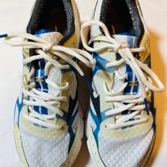 ミズノ MIZUNO ミズノ ランニングシューズ ウェーブライダー 17の画像