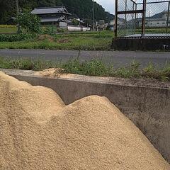 もみ殻譲ります。の画像
