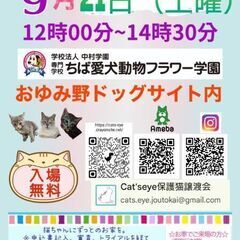 保護猫ちゃんと里親様のお見合い会のお知らせです。