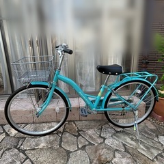 SCALARE STYLE￤ 24インチの画像