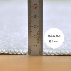 未使用品 辻川産業 カーペット 日本製 抗菌防臭 軽量薄手  江戸間 10畳 352×440cm グレー フリーカットの画像
