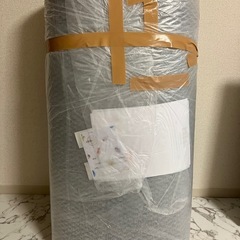 未使用品 辻川産業 カーペット 日本製 抗菌防臭 軽量薄手  江戸間 10畳 352×440cm グレー フリーカットの画像