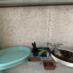 盆栽鉢セット