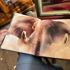 ゾウ写真集額入りの画像