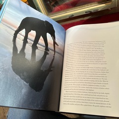 ゾウ写真集額入りの画像
