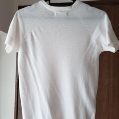 MANGO 半袖ニット の画像