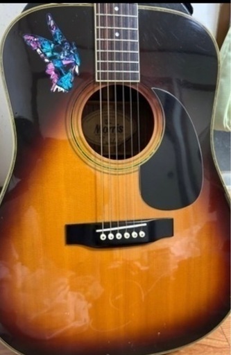 楽器 弦楽器、ギター