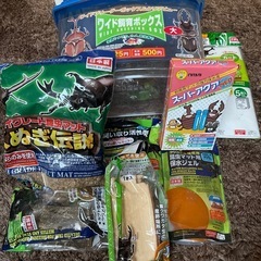 昆虫飼育セット