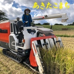 新米　令和6年 大仙産 あきたこまち30kg
