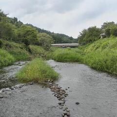 一緒にゆる～くキャンプしませんか？