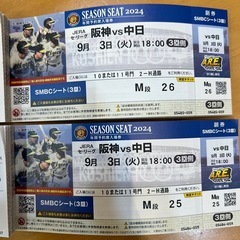 甲子園3日中日戦チケット