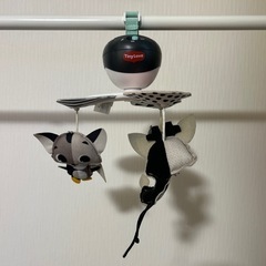 Tiny Love ミニメリーの画像