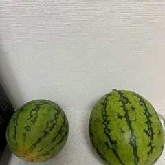 スイカ　すいか