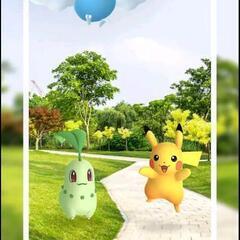 ポケGO　ギフト交換希望　ポケモン