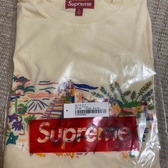 Supreme Machu Picchu S/S Top　 XL