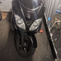 HONDA　フォルツァ250mf08