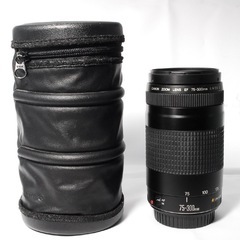 【美品】望遠レンズ Canon EF 75-300㎜ キャノンの画像