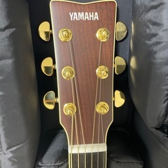 ‼️特価‼️YAMAHA LL16AREの画像
