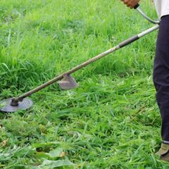 植栽伐採、雑草除去、外構工事なら 【植栽伐採ダッシュ 駒込営業所】 - 文京区