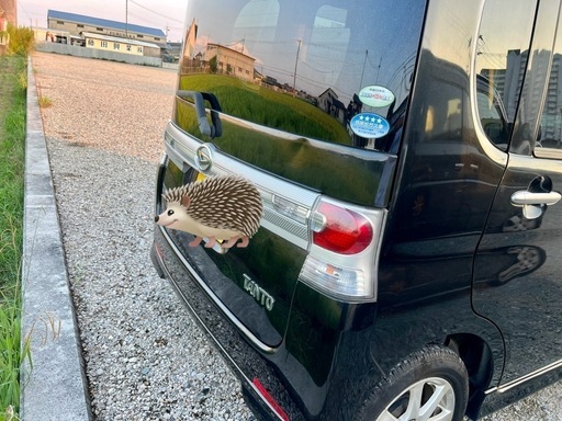 軽自動車