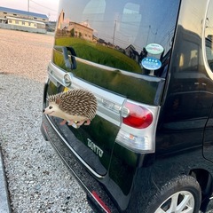 軽自動車の画像