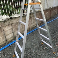 PICAコーポレーション脚立6尺の画像