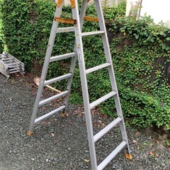 PICAコーポレーション脚立6尺