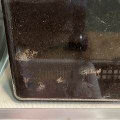 カブトムシ幼虫
