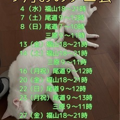 ９月おのテニ会（尾道ソフトテニスの会）2024 - 尾道市