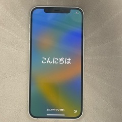 iPhone12 本体